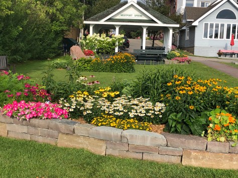 pollinator garden July 27